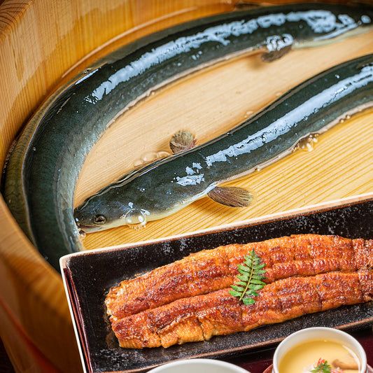国産 《天の青うなぎ》 長焼き 桐箱包装(160g×2)2尾 鹿児島県産