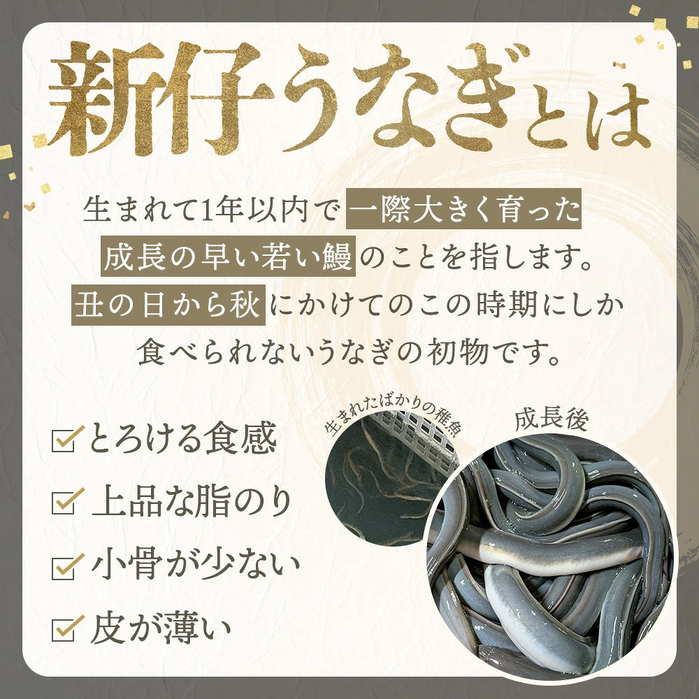 ※完売しました※2026年 新仔うなぎ 【数量限定】  国産 青うなぎ 長焼 160g 2尾 3尾 ギフト タレ・山椒付き 蒲焼 鰻 青うなぎ 二ホンウナギ 特大 肉厚 地焼き プレゼント グルメ お取り寄せ お中元 土用の丑の日 unagi【炭焼 うな富士】