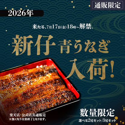※完売しました※2026年 新仔うなぎ 【数量限定】  国産 青うなぎ 長焼 160g 2尾 3尾 ギフト タレ・山椒付き 蒲焼 鰻 青うなぎ 二ホンウナギ 特大 肉厚 地焼き プレゼント グルメ お取り寄せ お中元 土用の丑の日 unagi【炭焼 うな富士】