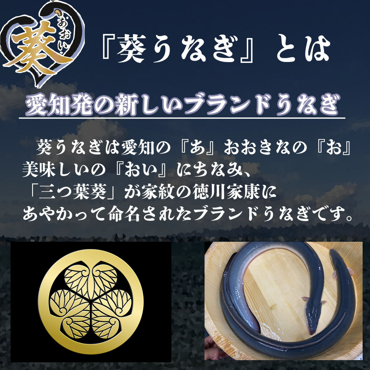 【リニューアル記念】国産《葵うなぎ》長焼き（160g×2）2尾 愛知県一色産