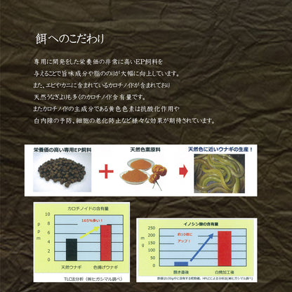国産 《天の青うなぎ》 長焼き 桐箱包装（160g×2）2尾 鹿児島県産